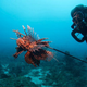 Image for article titled This Team Discovers 14 New Species An Hour, But They Have An Enemy